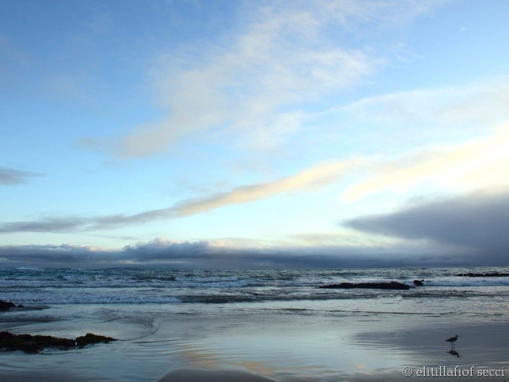 Galapagos - wild nature