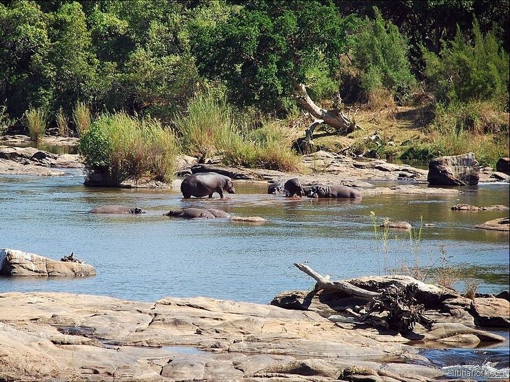 South Africa - wild nature